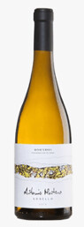 ANTONIO MONTERO GODELLO 2022