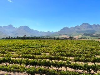 Zuid-Afrika