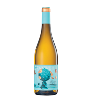 Dominio de la Granadilla Sauvignon blanc 2022 Rueda Spanje