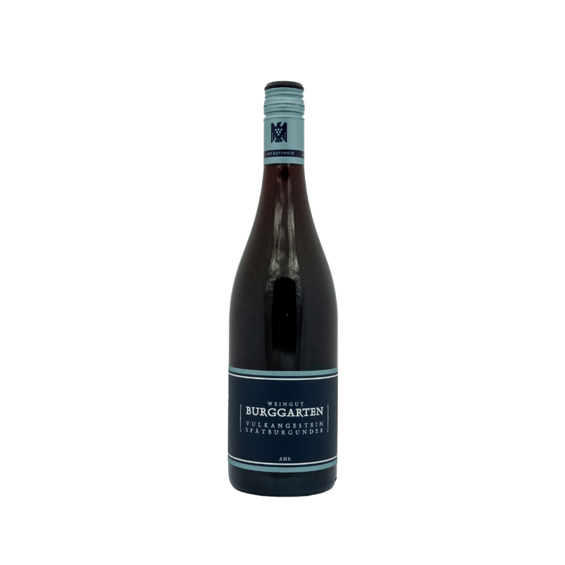 WEINGUT BURGGARTEN SPÄTBURGUNDER CLASSIC 2022