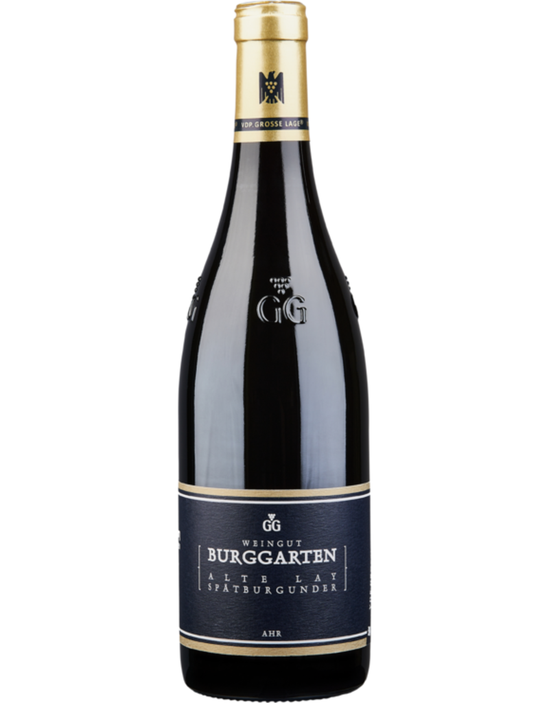 WEINGUT BURGGARTEN SPÄTBURGUNDER ‘KRAUTERBERG GG’ 2018