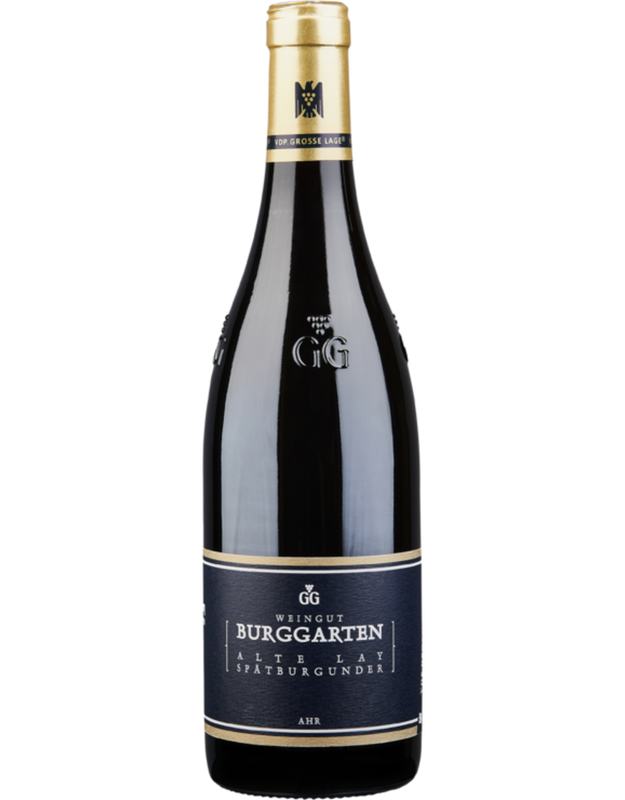 WEINGUT BURGGARTEN SPÄTBURGUNDER ‘KRAUTERBERG GG’ 2018