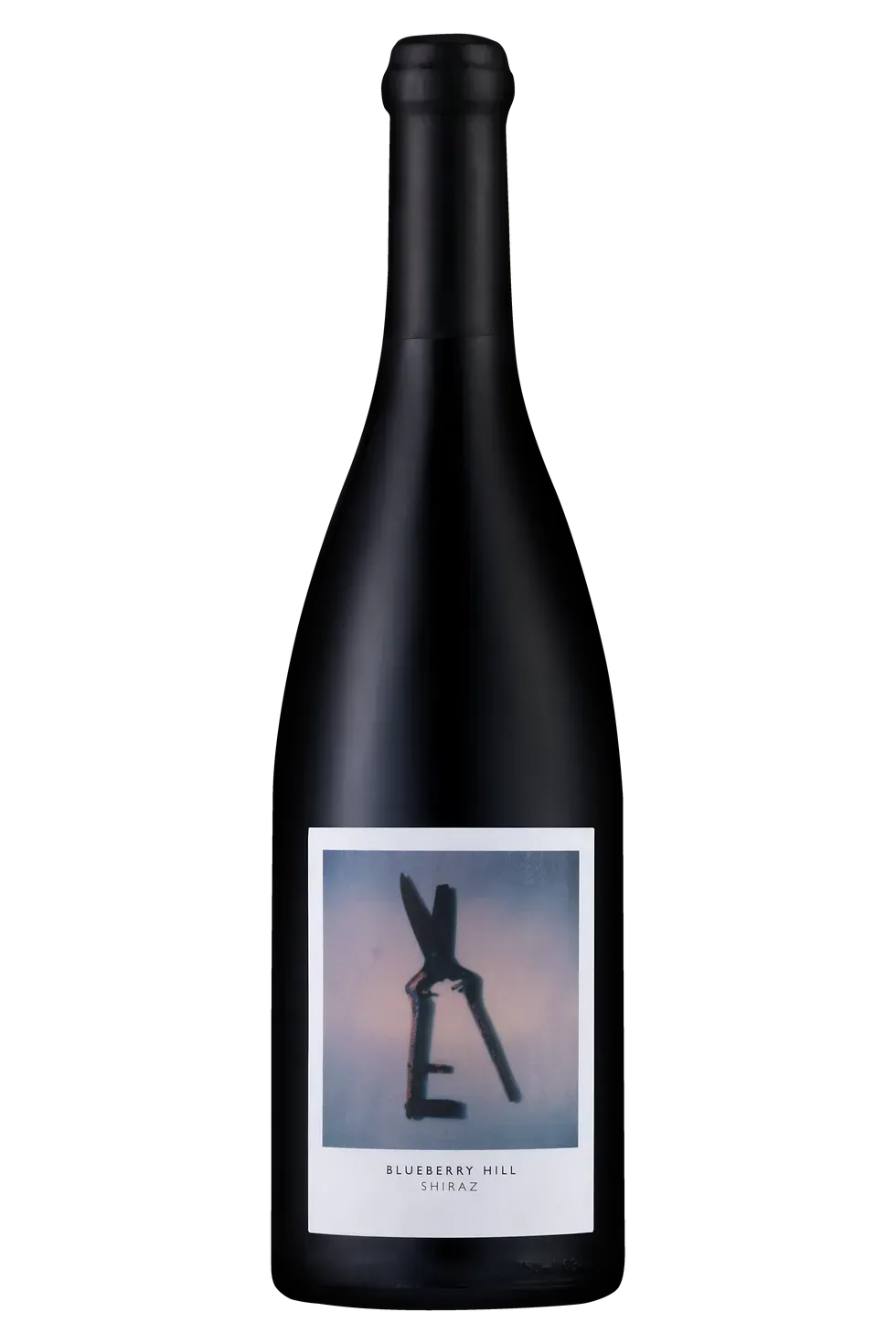 ArtiSons Blueberry Hill - Shiraz - Stellenbosch