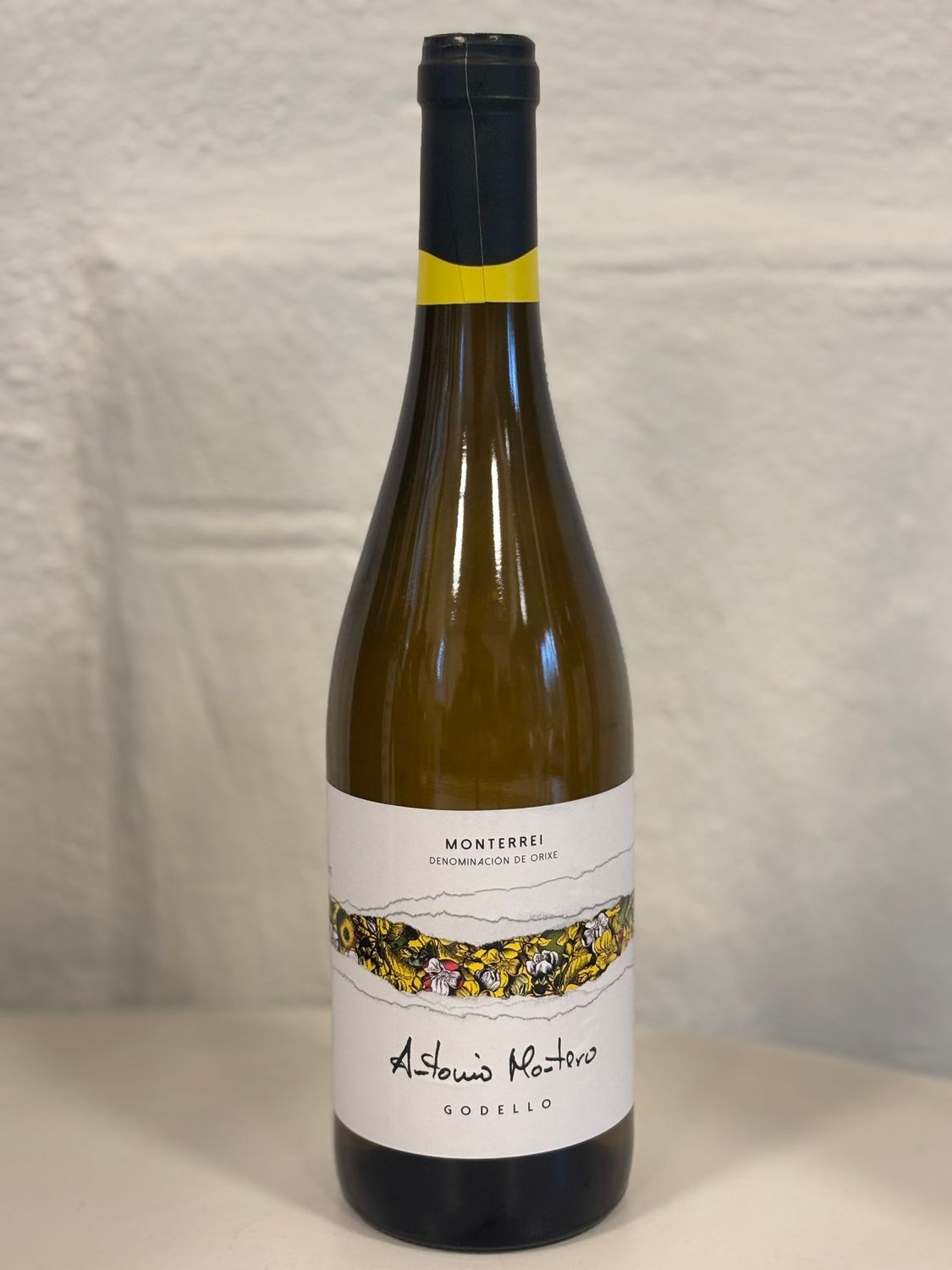 ANTONIO MONTERO GODELLO 2024