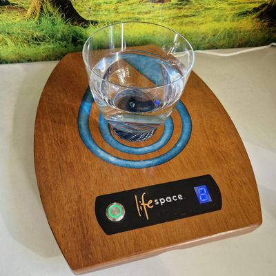Lifespace OASIS