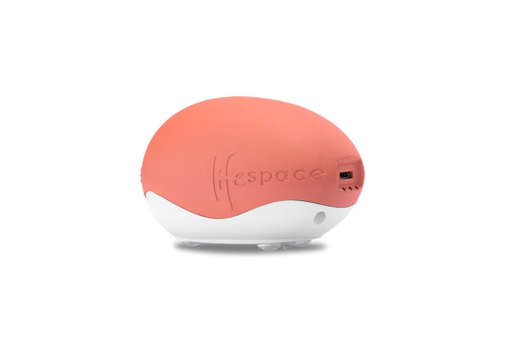 Lifespace EGG - Your On-the-Go Solution