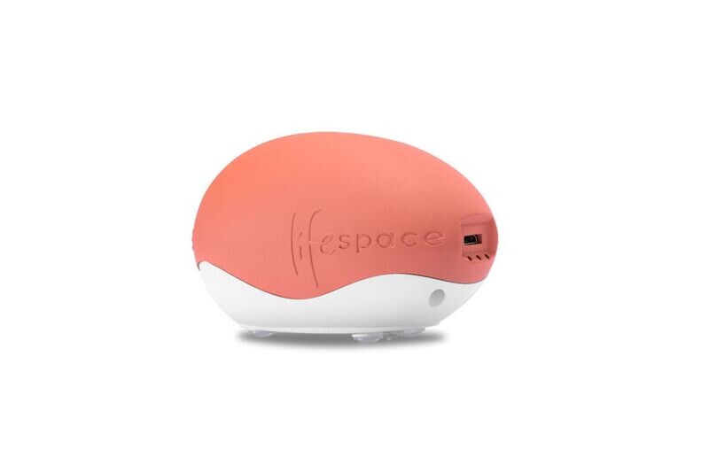 Lifespace EGG - Your On-the-Go Solution