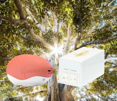Lifespace HOME &amp; EGG [Bundleangebot]