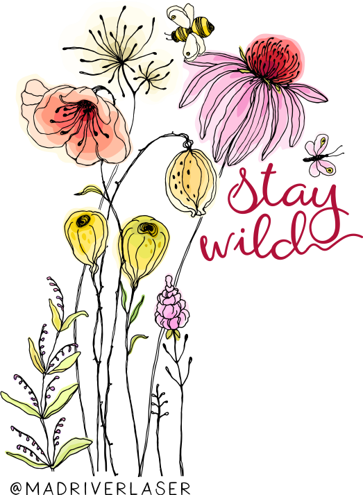 Stay Wild Wildflowers Sticker