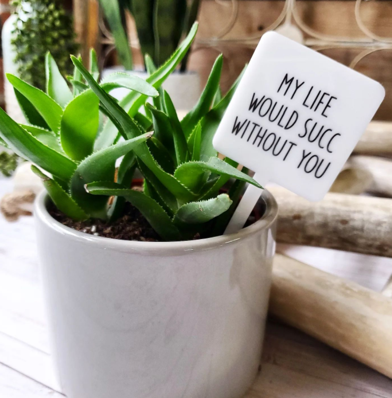 Snarky Plant Marker - My life Would Succ Without you