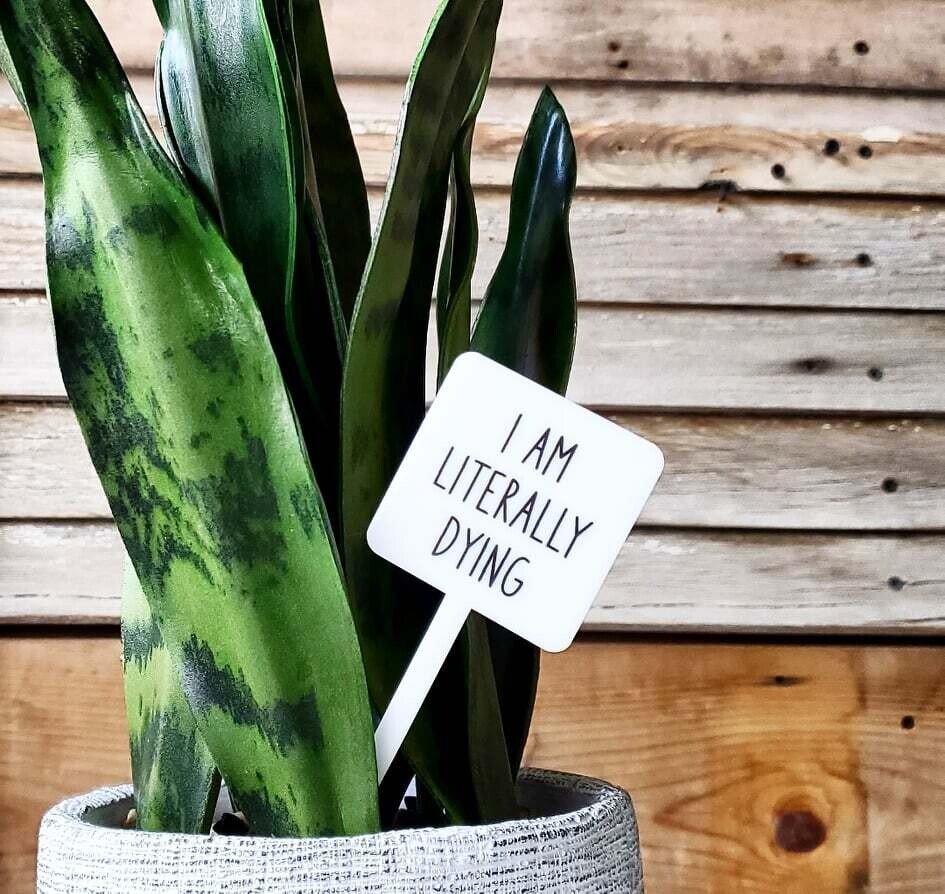 Snarky Plant Marker - I'm Literally Dying