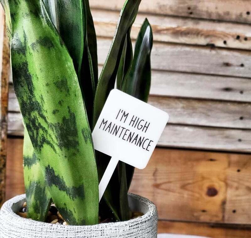 Snarky Plant Marker - I&#39;m High Maintenance