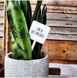 Snarky Plant Marker - I&#39;m A Bit Prickly