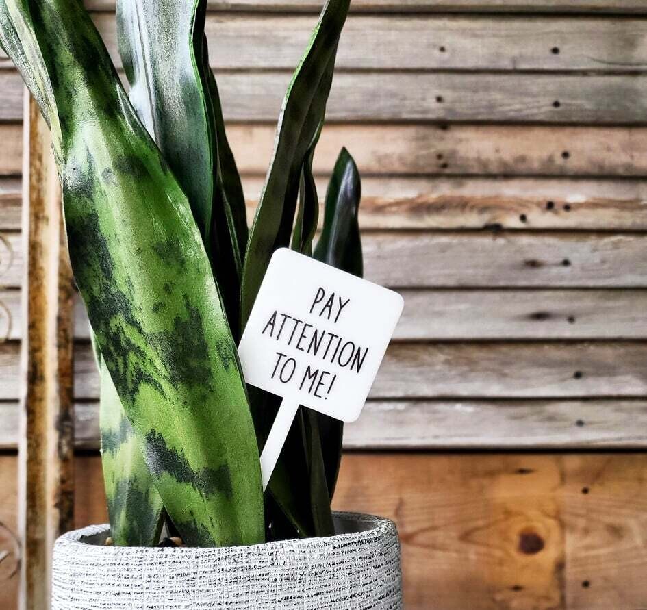 Snarky Plant Marker - Pay Attention To Me
