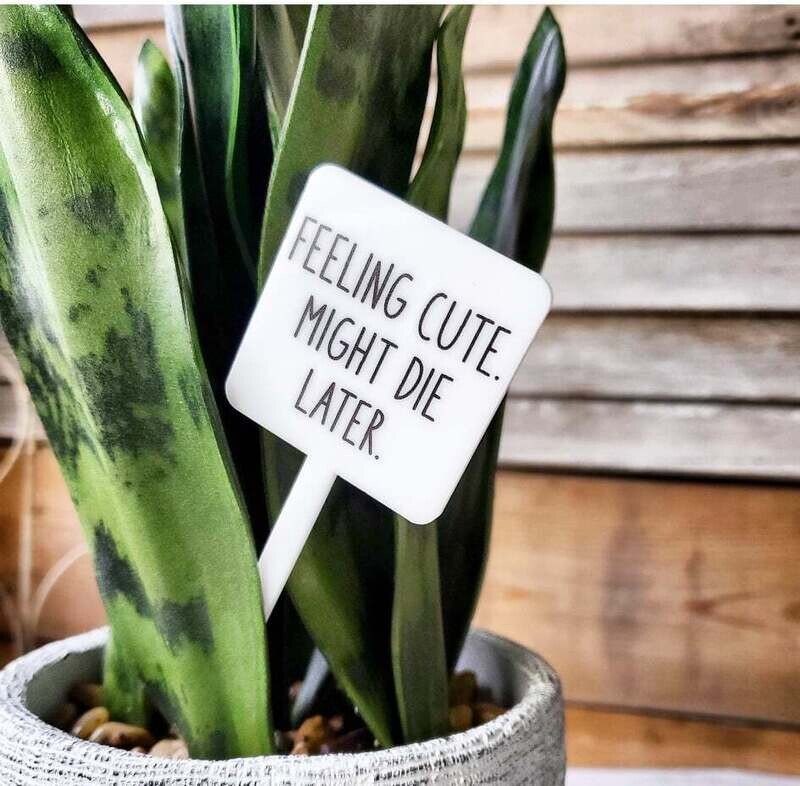 Snarky Plant Marker - Feelin&#39; Cute, Might Die Later