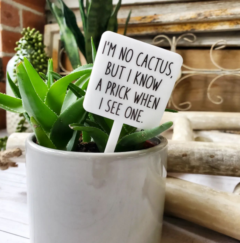 Snarky Plant Marker - I&#39;m No Cactus But I Know A Prick 