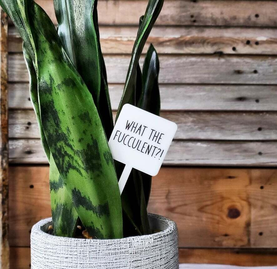 Snarky Plant Marker - What the Fucculent