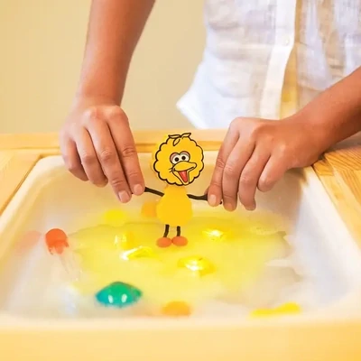 Light Up Sensory Toy - Big Bird