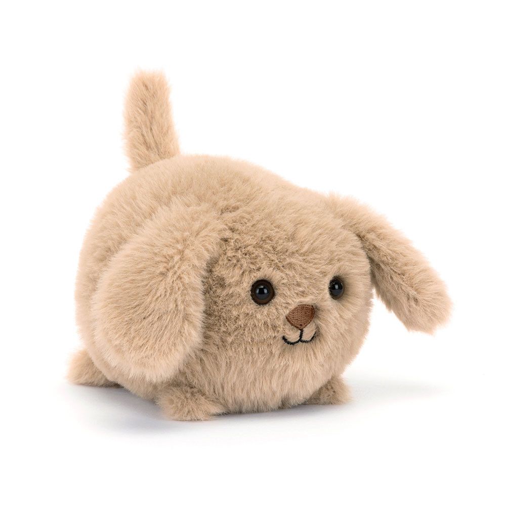 Caboodle Puppy 