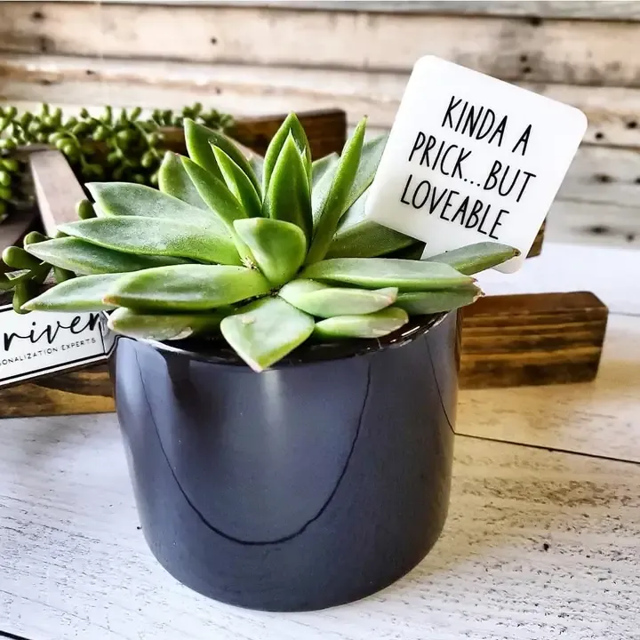 Snarky Plant Marker - Kinda a Prick but loveable