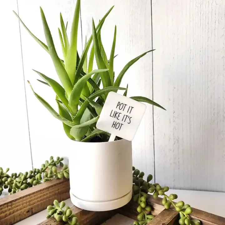 Snarky Plant Marker - Pot it like its hot