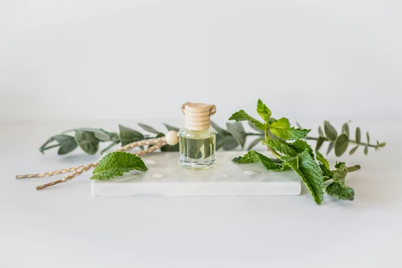 Cactus Flower Car Diffuser 