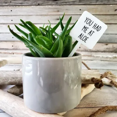 Snarky Plant Marker - You had me at aloe