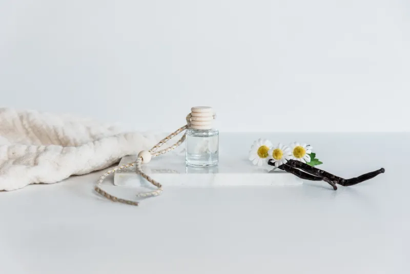 Warm Cashmere Car Diffuser 