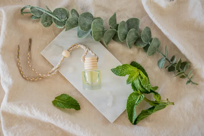 Cactus Flower Car Diffuser 