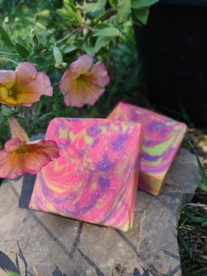 🍹The Summer Collection🌞