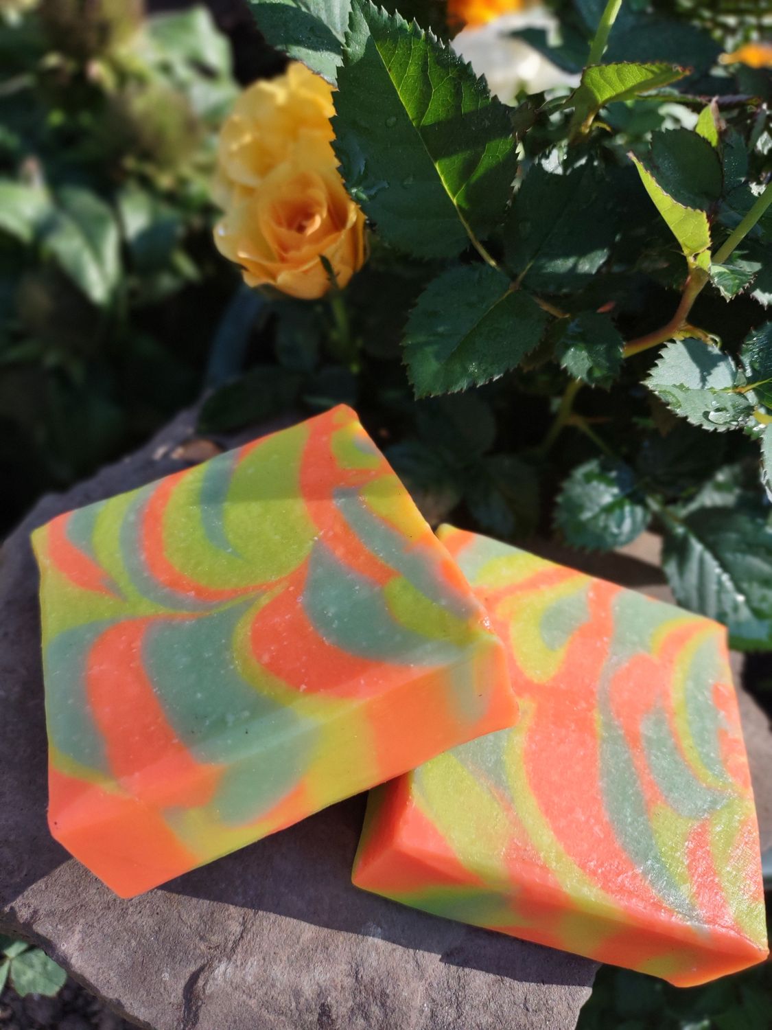 Tropic Breeze
