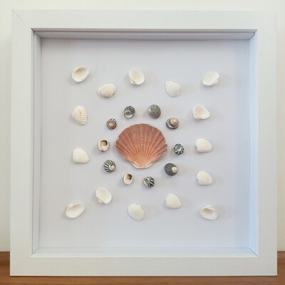 SCALLOP SHELL FRAME