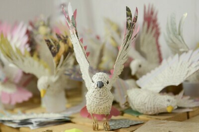 Custom Birds