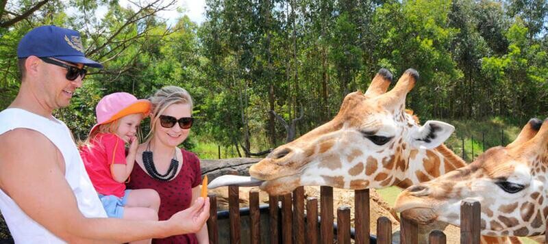 Australia Zoo, Mooloolaba, QLD