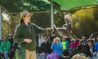 Kangaroo Island Tour, Adelaide, SA