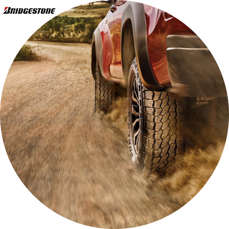 Bridgestone Business Associates Program -
