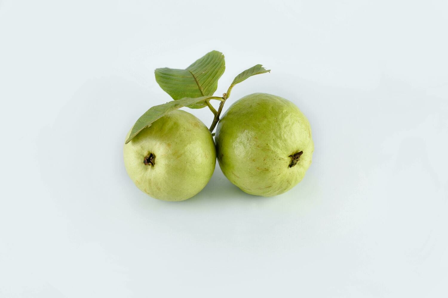 Guava Jelly