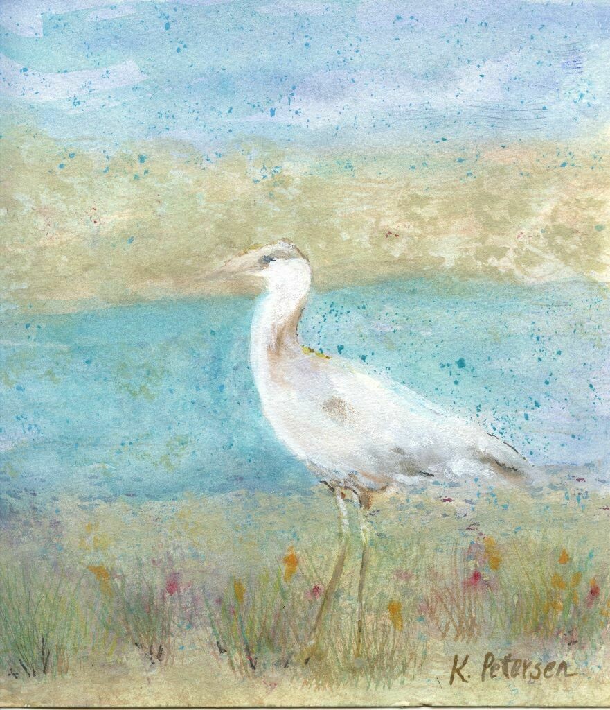 Egret