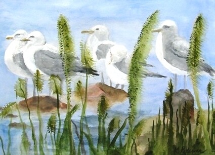 Gulls Gathering