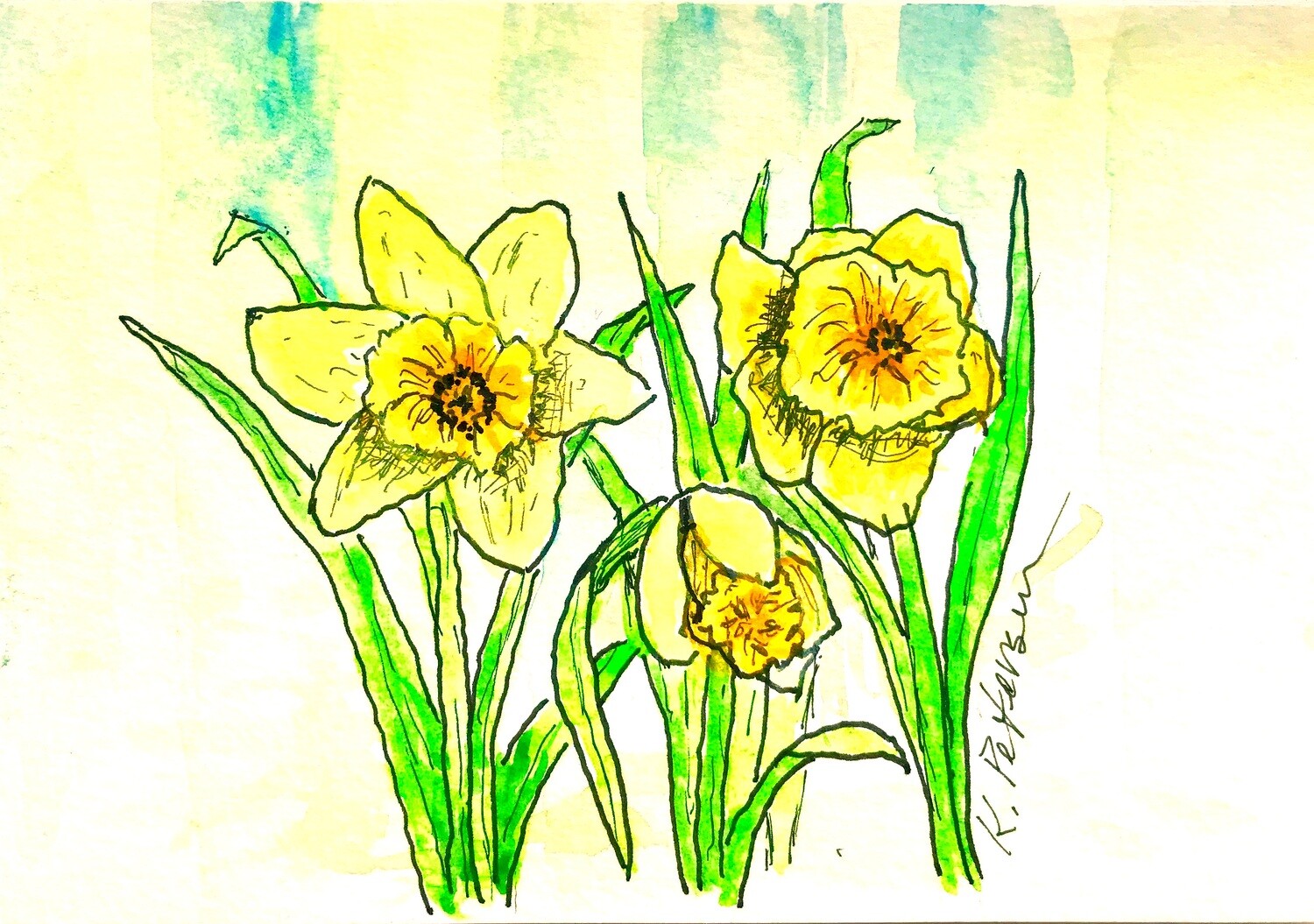 Daffodils