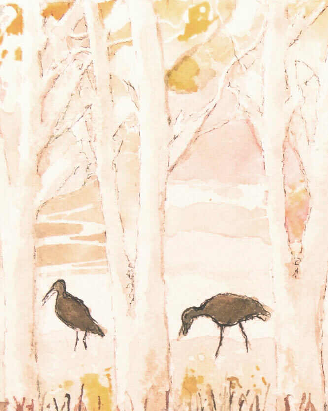 Walkin' &amp; Talkin'