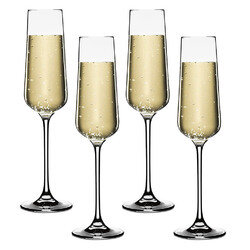 Set of 4 Champagne Flute Set, Vivere - Cuisinart