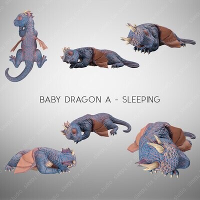 baby dragon sleeping A