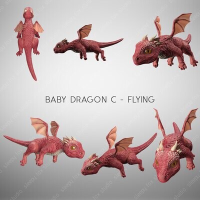 baby dragon flying bundle C