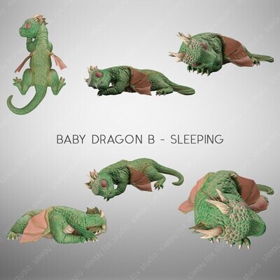 baby dragon sleeping B