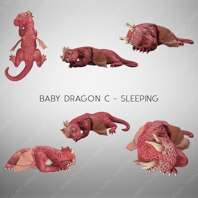 baby dragon sleeping C