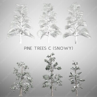pine trees C (snowy)