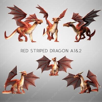 red striped dragon A1&2