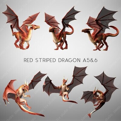 red striped dragon A5&6