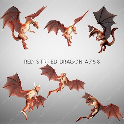 red striped dragon A7&8